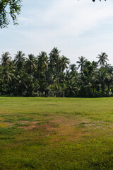 Portería entre palmeras en la selva, Bali, Indonesia