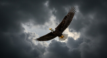 Obraz premium Eagle Flying Against Stormy Sky Freedom and Power Concept