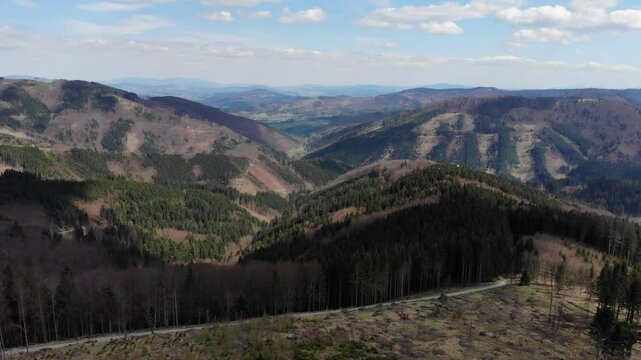 Beskid morawski, ostry, javorowy stit in spring