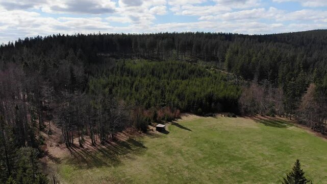 Beskid morawski, ostry, javorowy stit in spring