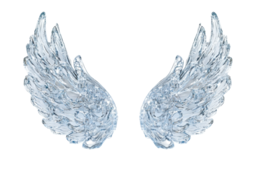 Icy wings on black background