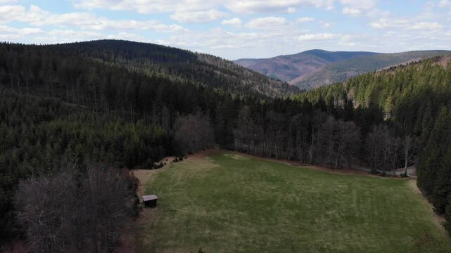 Beskid morawski, ostry, javorowy stit in spring