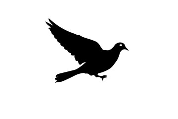 Obraz premium dove silhoutte