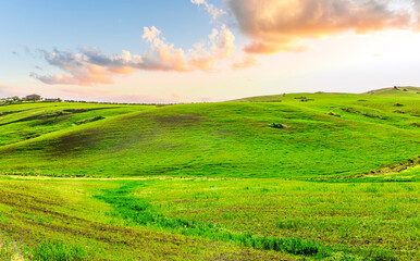 beautiful spring sunset in a green young field in a countryside farmland with salad grass covering hills and beautiful evening cloudy sky