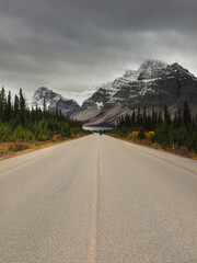 The Icefields Parkway running southeastward through conifer rows toward Bow Lake, at the Crowfoot...