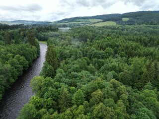Aerial view of lush forest and winding river.