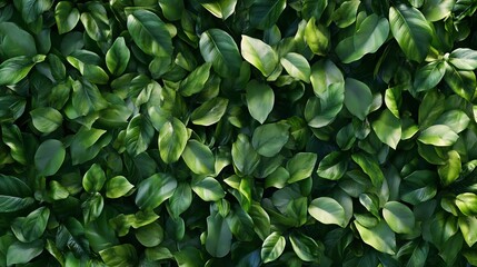 Fototapeta premium A lush background of vibrant green leaves, perfect for nature-themed designs, interiors, and eco-friendly concepts.
