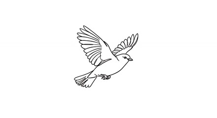 Obraz premium Elegant line art bird in flight minimalist black and white wildlife illustration