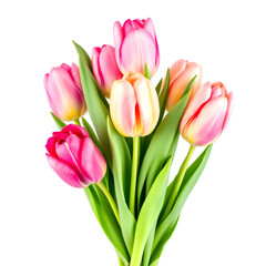 Bunch of Pink Tulips Isolated on White Background Floral Arrangement