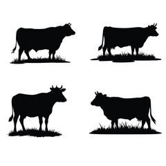 Cow Silhouette Vector Collection Standing Cattle Design