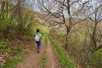 Fototapeta premium Woman hiking through spring trail