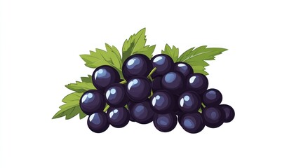 Fototapeta premium Fresh black currant bunch with leaves
