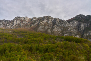 Forest and rugged mountain ridge