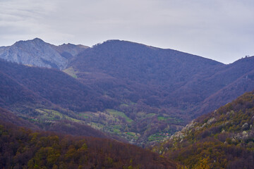 Remote valley and forested spring hills under overcast sky