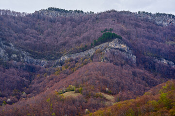 Craggy spring mountain ridge with forest and rocky slope
