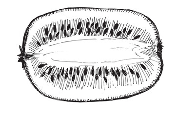 Black and white hand-drawn kiwi isolated on a white background.  EPS 10 vector. Graphics with a pen. Half kiwi, sliced kiwi. Sketch with a black pen. The design element