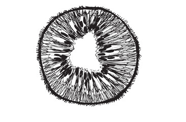 Obraz premium Black and white hand-drawn kiwi isolated on a white background. EPS 10 vector. Graphics with a pen. Half kiwi, sliced kiwi. Sketch with a black pen. The design element
