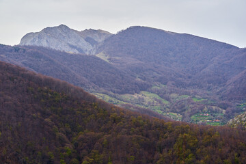 Obraz premium Forested valley beneath rocky mountain