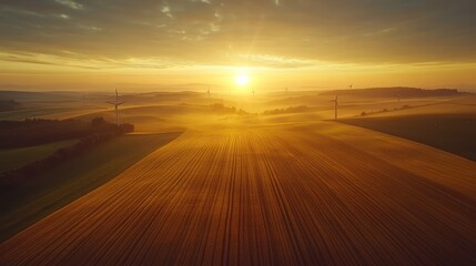 Sunrise over foggy field, wind turbines