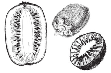 Black and white hand-drawn kiwi aet isolated on a white background. EPS 10 vector. Graphics with a pen. Half kiwi, sliced kiwi, whole kiwi. Sketch with a black pen. The design element