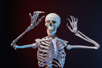 Artificial human skeleton model on dark background in neon lights