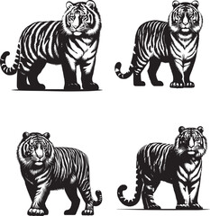 Siberius Tiger – Ice-Cold Majesty of the Arctic Jungle Vector Art