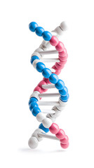 Obraz premium 3d DNA molecule object isolated on white background