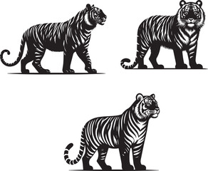Sundar Tiger – Graceful Guardian of the Jungle Vector Art