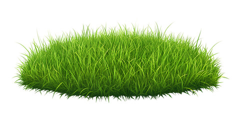 3D realistic round grass field, isolated on a transparent background
