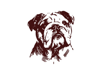 Bulldog Hand Drawn Illustration Sketch Vector Isolated by AZ for Graphic Arts Design and Decoration Asset