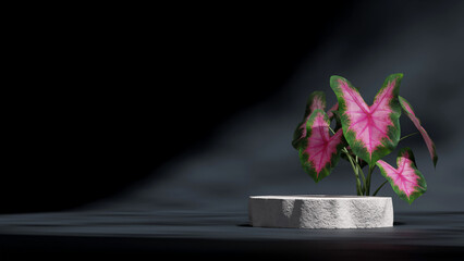 black color rough cylinder podium in landscape minimal scene, 3d render image blank space