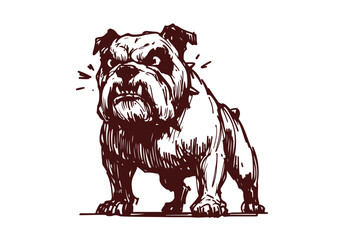 Bulldog Hand Drawn Illustration Sketch Vector Isolated by AZ for Graphic Arts Design and Decoration Asset
