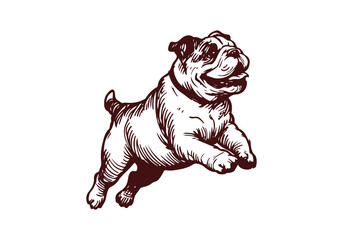Bulldog Hand Drawn Illustration Sketch Vector Isolated by AZ for Graphic Arts Design and Decoration Asset
