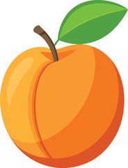 Apricot