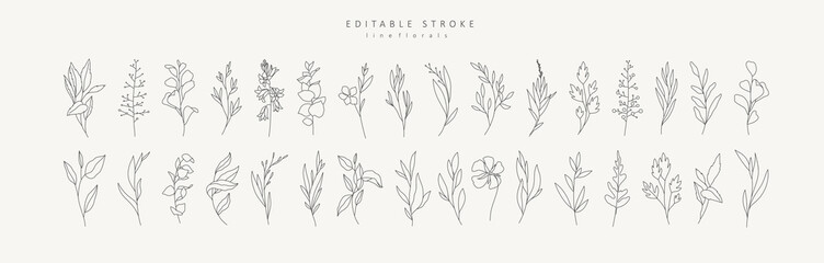 Set of different flowers and brunch from flat editable stroke. Luxury line floral collection for wedding invitation art, design template of save the date card. Botanical vector illustration