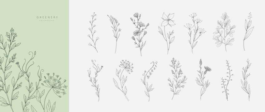 Set of luxury flowers and trendy botanical elements. Hand drawn line leaves branches and blooming. Wedding elegant wildflowers for invitation save the date card. Vector trendy