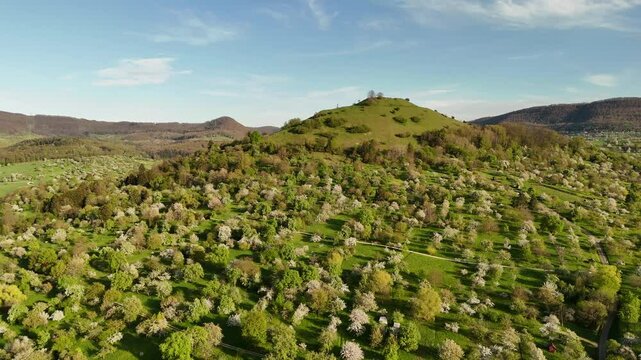 Fr&uuml;hlingserwachen an der Limburg &ndash; Bl&uuml;hende Streuobstwiesen bei Weilheim an der Teck aus der Luft.