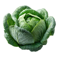 Obraz premium Fresh green cabbage closeup healthy food vegetable ingredient