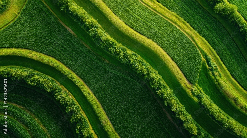 Aufkleber green field with multiple solar arrays and minimal landscape disruption