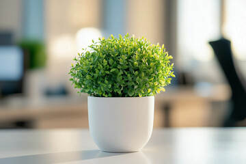 A green potted plant in a white pot on a desk, enhancing the office environment with a natural touch and a clean, modern aesthetic.