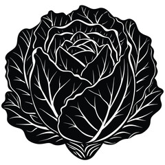 Black silhouette of a cabbage on a white background