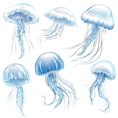 My Simple flat 2D illustration Collection of jellyfish isolated on a transparent background, vector, flat design, animation design, simple flat 2D icon, clipart © Sabellatint