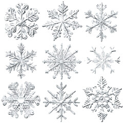 A simple flat 2D icon Collection of snowflake isolated on a white background, vector, flat design, animation design, simple flat 2D icon, minimalist design, vector design