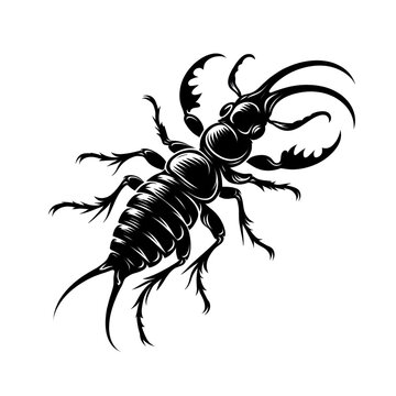 black earwig insect isolated on white clip art preview
