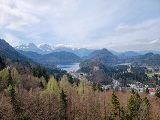View from the Alps