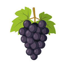 My Simple flat 2D illustration of a black grape set isolated on a transparent background, vector, flat design, animation design, simple flat 2D icon, EPS Format