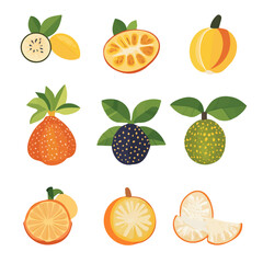 My Simple flat 2D illustration breadfruit collection isolated on a transparent background, vector, EPS, flat design, animation design, simple flat 2D icon, clipart