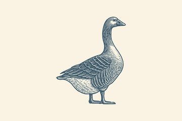 Engraved goose illustration in vintage style on light background