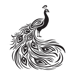 Peacock vector illustration art
