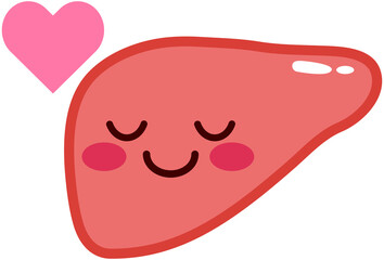 Cartoon liver icon - safe and healthy liver